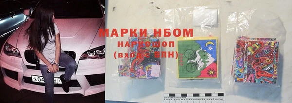 сатива Бородино