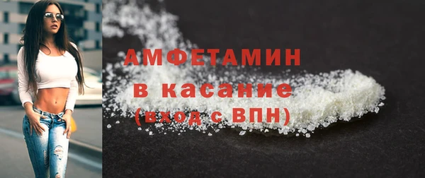 сатива Бородино