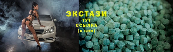 сатива Бородино