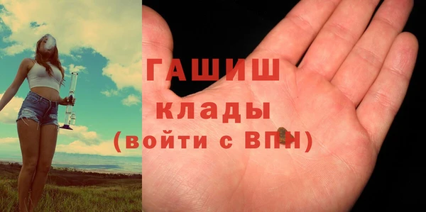 сатива Бородино