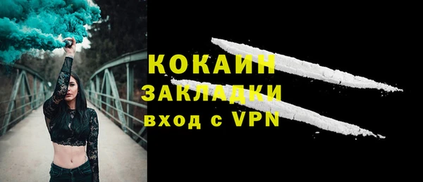 твердый Бронницы
