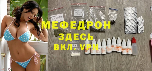 сатива Бородино