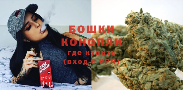 сатива Бородино