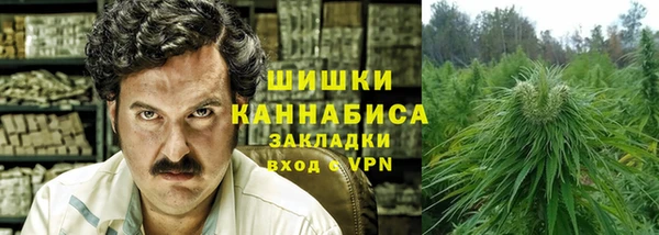 сатива Бородино