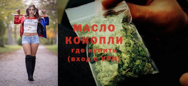 сатива Бородино