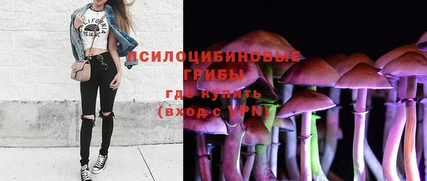 твердый Бронницы