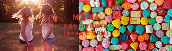сатива Бородино