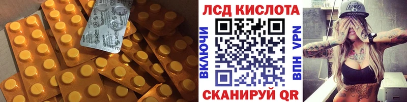 blacksprut как зайти  Берёзовка  Лсд 25 экстази кислота 