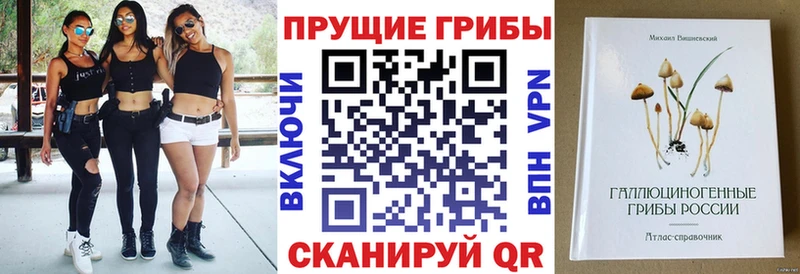 Галлюциногенные грибы Psilocybe купить наркотики сайты Берёзовка